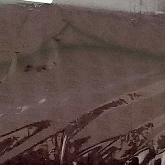 Free People NWT Juicy Long Sleeve Cowl Top Wine Color Retail $88 Size M LAST ONE - Picture 7 of 8